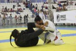 IMG 5033