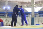 IMG 5176