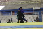 IMG 5184
