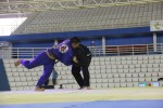 IMG 5185