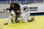 IMG 5296