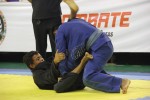 IMG 5348