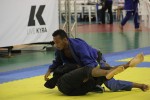 IMG 5383