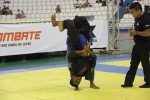 IMG 5386
