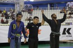 IMG 5393