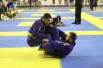 IMG 5465