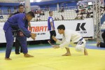IMG 5484 (1)