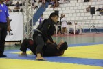 IMG 5486