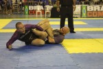 IMG 5531