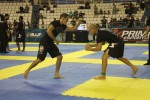 IMG 5545