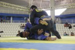 IMG 5608 (1)