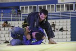IMG 5615 (1)