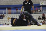 IMG 5689