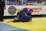 IMG 5719