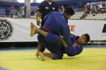 IMG 5720