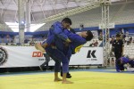 IMG 5721