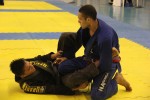 IMG 5733