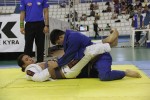 IMG 5784