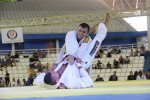 IMG 5864