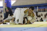IMG 5884