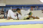 IMG 5886