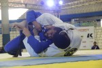 IMG 5930