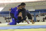 IMG 5956