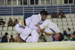 IMG 5994