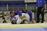 IMG 6030