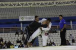 IMG 6058