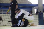 IMG 6068