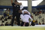 IMG 6074