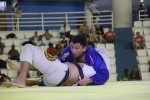 IMG 6119