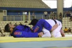 IMG 6151