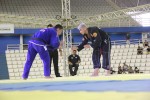 IMG 6193