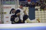 IMG 6299