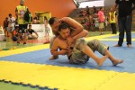 IMG 6375