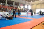 IMG 7003 (1)