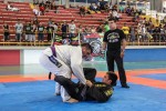 IMG 7004 (1)
