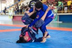 IMG 7017 (1)