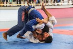 IMG 7036 (1)
