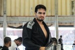 IMG 7037 (1)