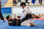 IMG 7047 (1)