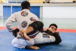 IMG 7049 (1)