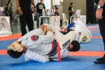 IMG 7081 (1)