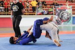 IMG 7102 (1)