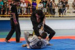 IMG 7131 (1)