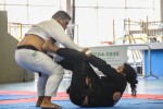 IMG 7137 (1)