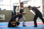 IMG 7143 (1)