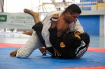 IMG 7155